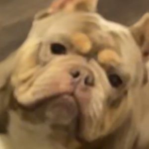 Meet your Posher, Hailey